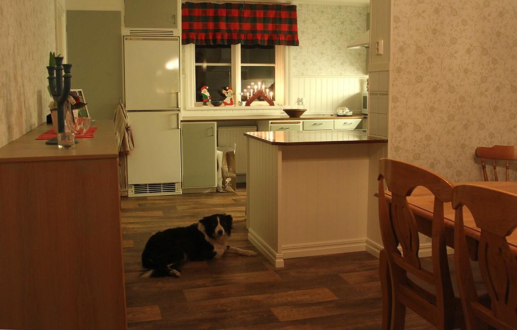 Hallebergs Bed&Breakfast 스카라 외부 사진